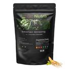 Suplemento Go Nutra Ginseng Siberiano 4:1 - 454g