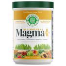 Suplemento Green Foods Magma Plus 325 ml em pó