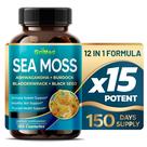 Suplemento GriMed Premium Sea Moss 30:1: Extrato 16.100 mg