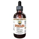 Suplemento Hawaii Pharm Spirulina, extrato de 60 ml sem álcool