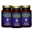 Suplemento HealthForce SuperFoods Digestion Enzymes 120 cápsulas veganas (pacote com 3)