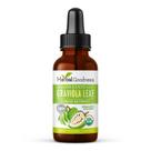 Suplemento Herbal Goodness Graviola - Extrato de Folha - 30ml
