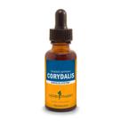 Suplemento Herbal Herb Pharm Extrato de Corydalis 30ml Suplemento Herbal Herb Pharm Extrato de Corydalis 30ml