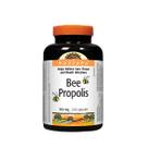 Suplemento Holista Bee Própolis 500mg 200 Cápsulas Suplemento Holista Bee Própolis 500mg 200 Cápsulas