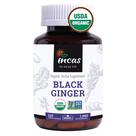 Suplemento Incas Organic Thai Black Ginger 120 cápsulas 500mg