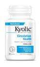 Suplemento Kyolic Aged Alho Extract Formula 106 100 cápsulas