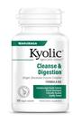Suplemento Kyolic Aged Garlic Extract Formula 102 - 100 Cápsulas