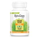 Suplemento Kyolic Kyo-Green Greens Blend Energy 180 comprimidos Suplemento Kyolic Kyo-Green Greens Blend Energy 180 comprimidos