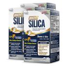 Suplemento LABO Nutrition Sílica Bioativa 30s x3