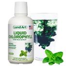 Suplemento Land Art Liquid Chlorophyll Mint 473 ml