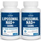 Suplemento Lipossomal NAD+ 500mg com Trans-Resveratrol 300mg - Lepoznan Suplemento Lipossomal NAD+ 500mg com Trans-Resveratrol 300mg - Lepoznan