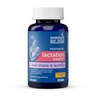 Suplemento Mommy's Bliss Postnatal Lactation Support 60 cápsulas