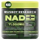 Suplemento NAD+ Ribosídeo de nicotinamida lipossomal 11000 mg 120 cápsulas