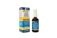 Suplemento Natural Path Silver Wings Coloidal Silver Silver 60ml