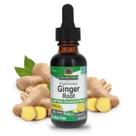 Suplemento Nature's Answer Ginger Root 30 ml sem álcool Suplemento Nature's Answer Ginger Root 30 ml sem álcool