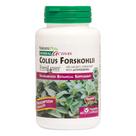Suplemento NaturesPlus Herbal Actives Coleus Forskohlii 60 cápsulas Suplemento NaturesPlus Herbal Actives Coleus Forskohlii 60 cápsulas