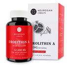Suplemento Neurogan de urolitina A de alta potência 700 mg 60 cápsulas