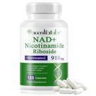 Suplemento NIFEISHI NAD Nicotinamida Ribosídeo 910mg 120 Cápsulas