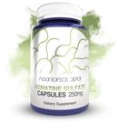 Suplemento Nootrópicos Depot Sulfato de Agmatina 250 mg 240 cápsulas