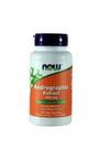 Suplemento NOW Foods Andrographis - 400mg - 180 Cápsulas Vegetais