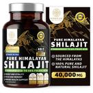 Suplemento Number One Nutrition Shilajit 40.000 mg 120 cápsulas