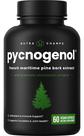 Suplemento NutraChamps Pycnogenol - Extrato de Pinho Marítimo Francês - 60 Cápsulas