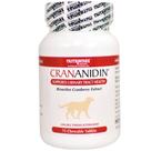 Suplemento Nutramax Crananidin Cranberry para Cães Suplemento Nutramax Crananidin Cranberry para Cães
