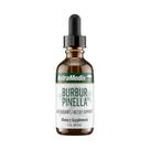Suplemento NutraMedix Burbur-Pinella - Saúde Cerebral - 60ml Suplemento NutraMedix Burbur-Pinella - Saúde Cerebral - 60ml