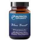Suplemento Nutricel Suplementos Azul de Metileno com Vitamina C