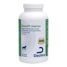 Suplemento Omega 3 Eicosa3FF SnipCaps para Cães Grandes - 120 Cápsulas Suplemento Omega 3 Eicosa3FF SnipCaps para Cães Grandes - 120 Cápsulas