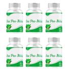 Suplemento Oras pros Nobolis 360 cápsulas 500 mg 6 frascos x 60 cápsulas