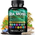 Suplemento orgânico Sea Moss Capsules Brilhante 150 unidades