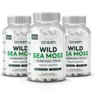 Suplemento Organics Ocean Wild Sea Moss 3 frascos