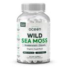 Suplemento Organics Ocean Wild Sea Moss 60 cápsulas