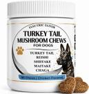Suplemento para Cães Electric Elixir com Cogumelo Turkey Tail em Mastigáveis
