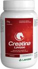 Suplemento para Cavalos Creatina Lavizoo - 2 kilos Suplemento para Cavalos Creatina Lavizoo - 2 kilos