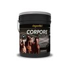 Suplemento para Cavalos em Crescimento Corpore Potros - 3 kg Suplemento para Cavalos em Crescimento Corpore Potros - 3 kg