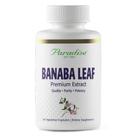 Suplemento Paradise Herbs Banaba Leaf 12:1 Extract 60 cápsulas