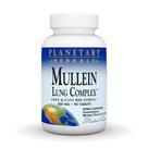 Suplemento Planetary Herbals Mullein Lung Complex 90 comprimidos