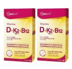 Suplemento Premium D3 2000UI K2 B12 120 Cápsulas 500mg