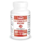 Suplemento probiótico Supersmart Lactobacillus Reuteri 5B CFU
