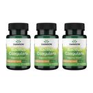 Suplemento probiótico Swanson Bacillus Coagulans 6B CFU, pacote com 3 unidades