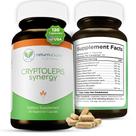 Suplemento Return Healthy Cryptolepis Synergy 120 cápsulas