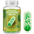 Suplemento Rosmolo 800mg de Sulforafano Lipossomal - 60 Cápsulas