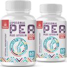 Suplemento Rosmolo Lipossomal Palmitoiletanolamida 1000mg