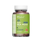 Suplemento Safrel Irish Sea Moss Gummies 3000 mg 60 veganas