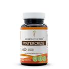 Suplemento Secrets of the Tribe Watercress 800 mg 60 cápsulas Suplemento Secrets of the Tribe Watercress 800 mg 60 cápsulas