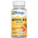 Suplemento SOLARAY B 12 Methyl Lozenge 2500mcg (60 unidades) Suplemento SOLARAY B 12 Methyl Lozenge 2500mcg (60 unidades)