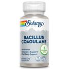 Suplemento Solaray Bacillus Coagulans Probiótico 60 cápsulas
