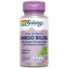 Suplemento SOLARAY: extrato de ginkgo biloba, 60 mg, 60 unidades